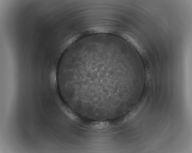 X0000111420398200907201052