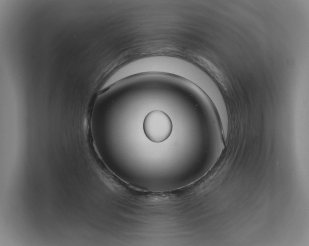 X0000111420405200907201052