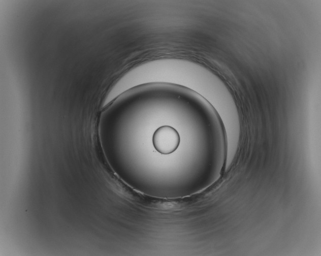 X0000111420409200907201052