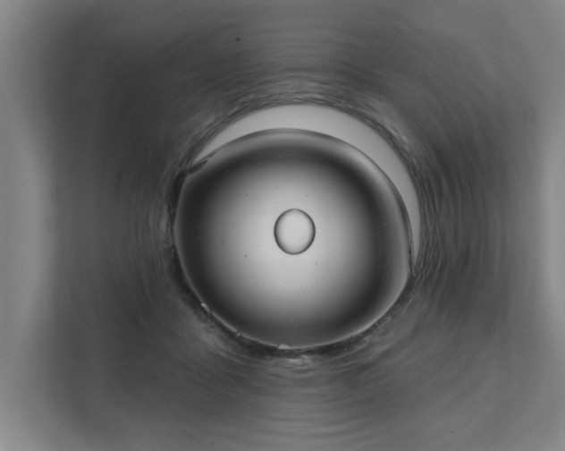 X0000111420411200907201052