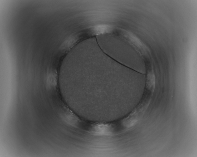 X0000111420413200907201052