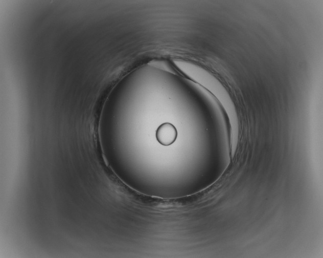 X0000111420415200907201052