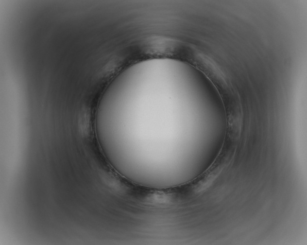 X0000111420416200907201052