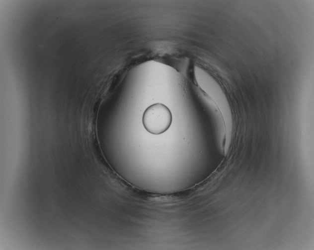 X0000111420417200907201052