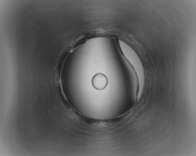 X0000111420419200907201052