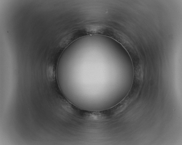 X0000111420420200907201052