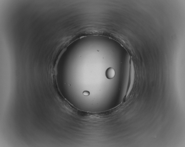 X0000111420423200907201052