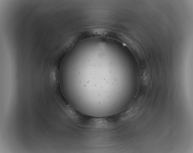 X0000111420424200907201052