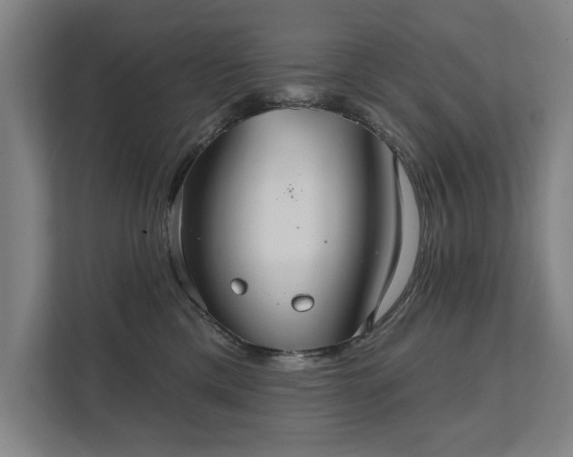 X0000111420425200907201052