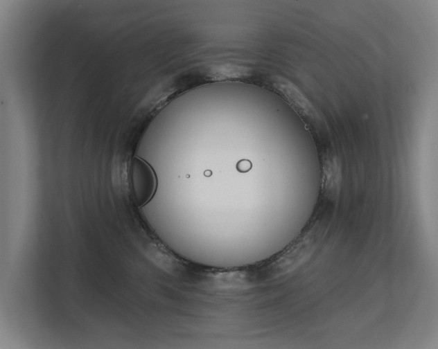 X0000111420426200907201052