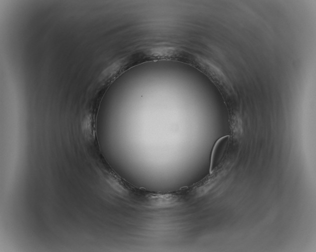 X0000111420428200907201051