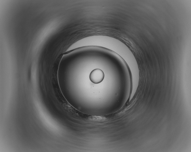 X0000111420429200907201051