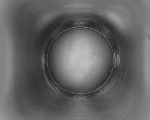 X0000111420435200907201051