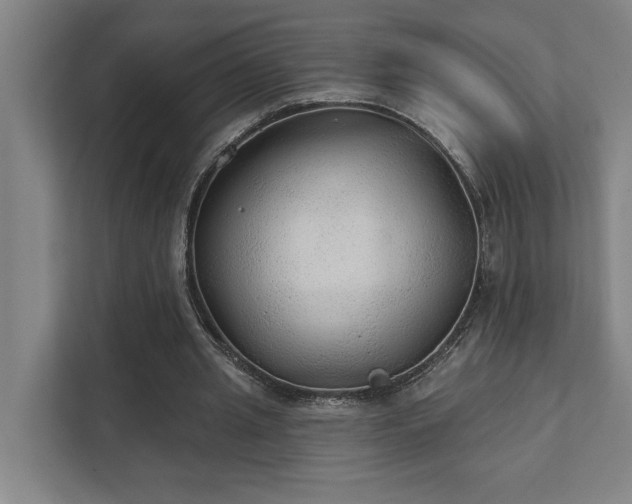 X0000111420437200907201051