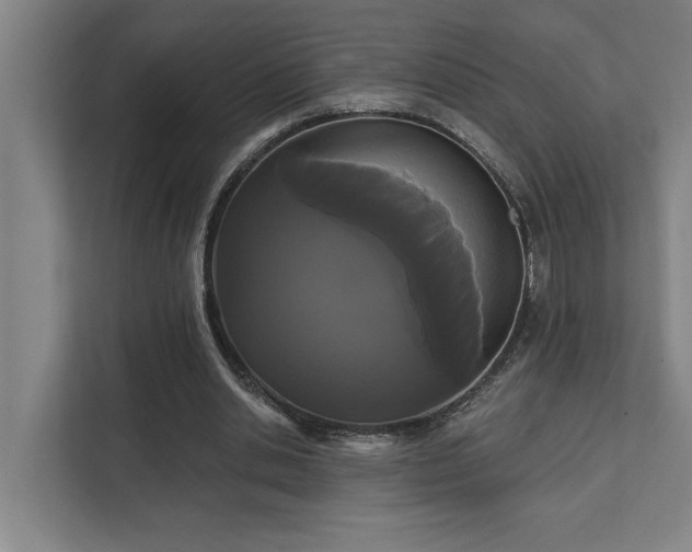 X0000111420438200907201051