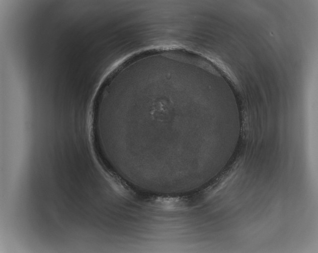 X0000111420440200907201051