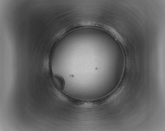 X0000111420441200907201051