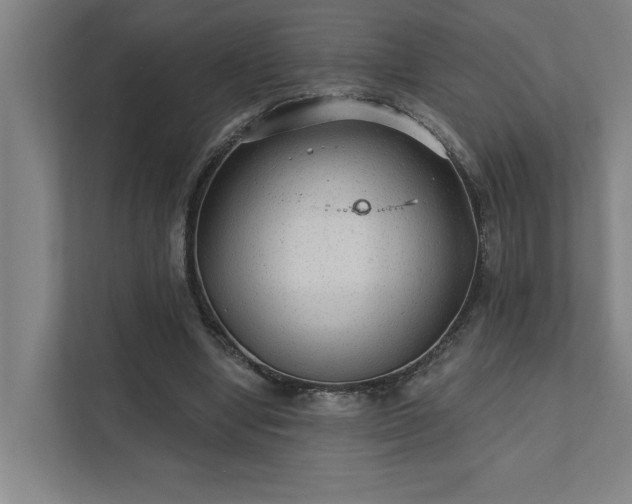 X0000111420442200907201051