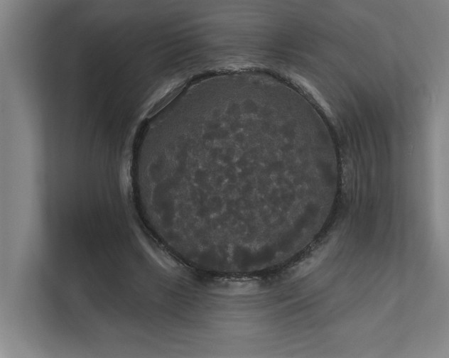 X0000111420443200907201051