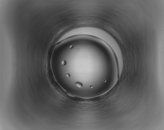 X0000111420444200907201051