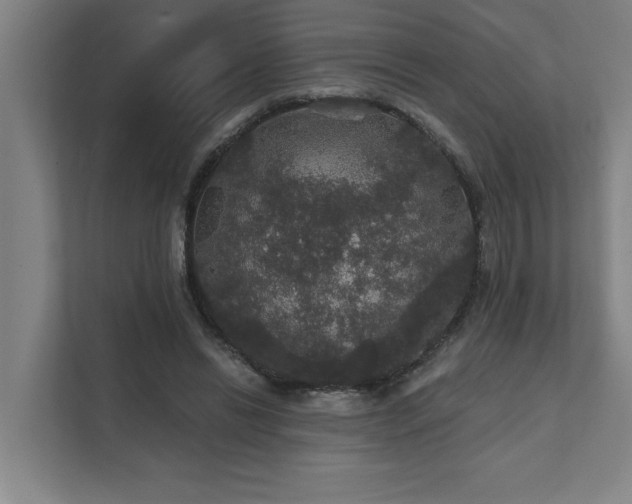 X0000111420446200907201051