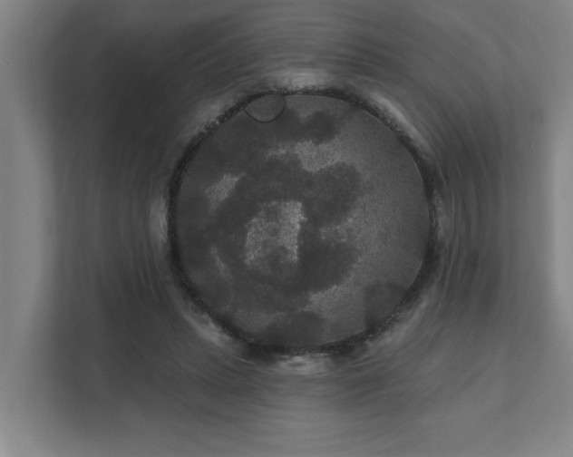 X0000111420447200907201051