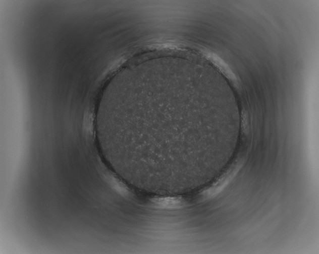 X0000111420449200907201051