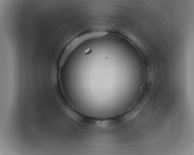 X0000111420450200907201051