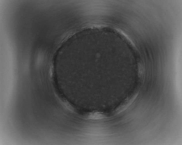 X0000111420451200907201051