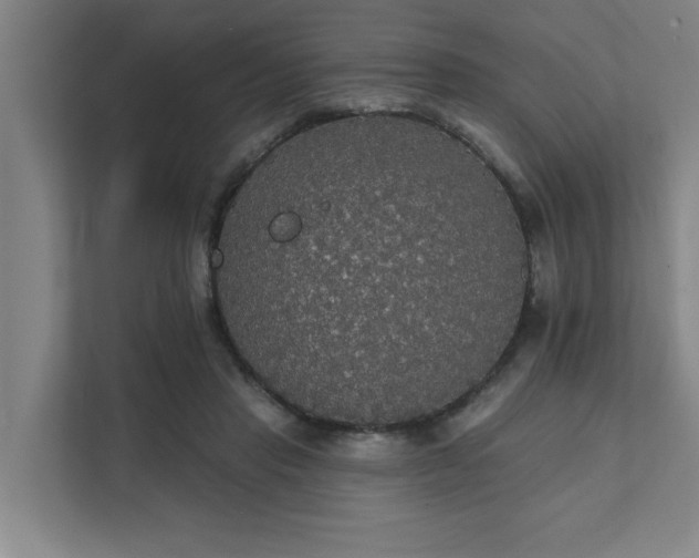 X0000111420453200907201051