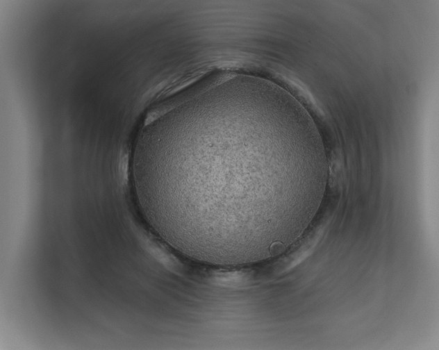 X0000111420454200907201051