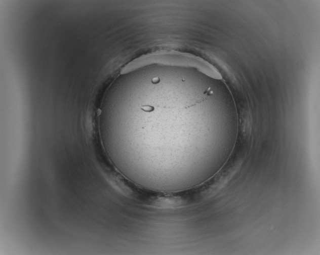 X0000111420455200907201051