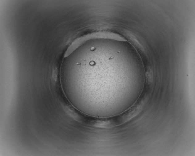 X0000111420458200907201051