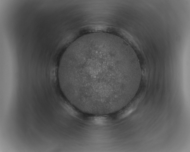 X0000111420462200907201051