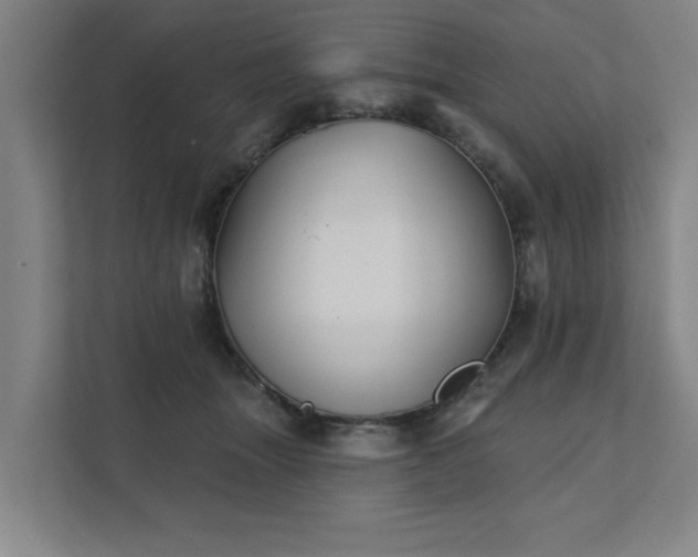 X0000111420463200907201051