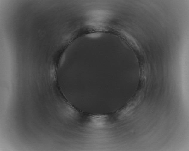 X0000111420465200907201051