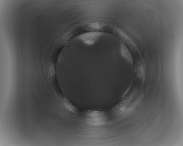 X0000111420467200907201051