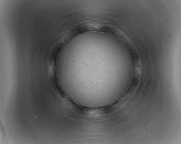 X0000111420468200907201051