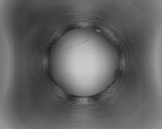 X0000111420473200907201051