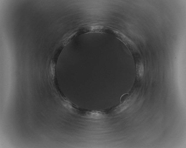 X0000111420475200907201051