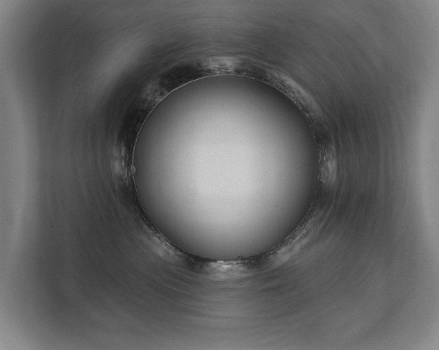 X0000111420477200907201051