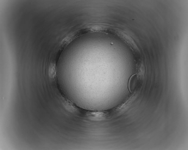 X0000111420478200907201051