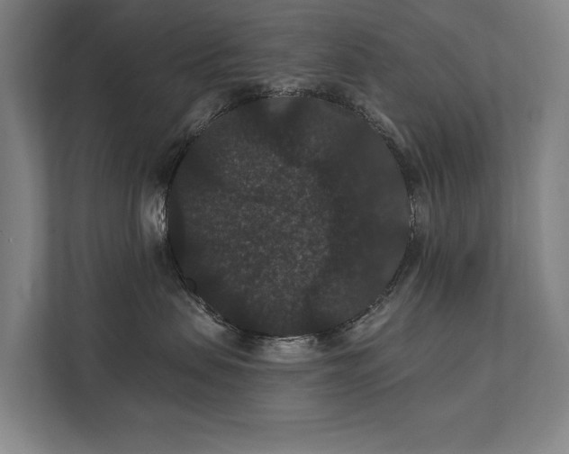 X0000111420479200907201051