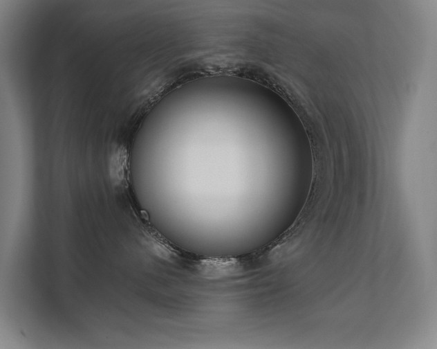 X0000111420480200907201051