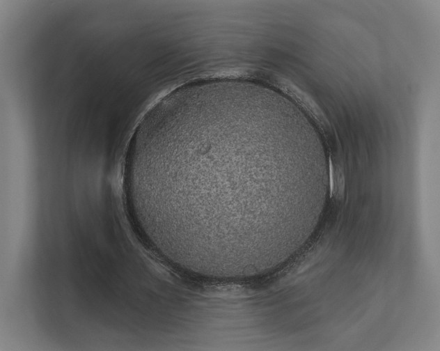 X0000111420483200907201051