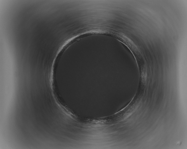 X0000111420484200907201051