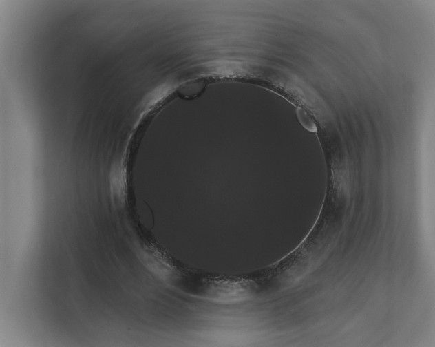 X0000111420488200907201051