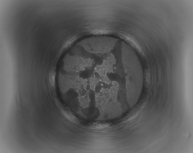 X0000111420491200907201051