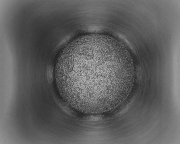 X0000111420495200907201051