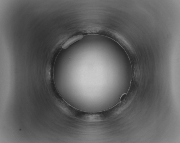 X0000111420501200907201051